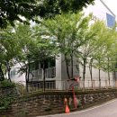 황골온누리 약국 이미지