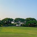 제주돌하르방캠핑장 이미지