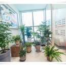 이메디치과의원 이미지