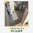 MS | 전주 줄눈 내돈내산 ms홈텍 반셀인 후기