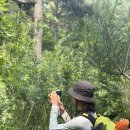 당산보부상 | 동서트레일 완주 후기(2) | 기억에 남는 하루, 이 길을 걷는 당신에게