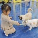 아이캣유 이미지