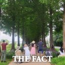 피어나공주 더팩트
