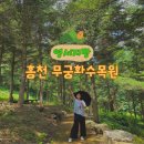 (유)강산산림조경 | 강원도 홍천 여름 가볼만한곳 무궁화수목원 방문, 전국 스탬프 투어 장소