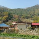 용양골 Daum카페