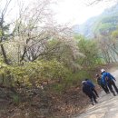 충주호체험 이미지