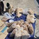 대산식육식당 이미지