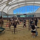 영광승마장 이미지