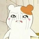 조*용 Daum카페