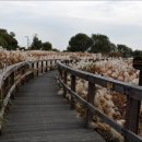 노을공원1 이미지