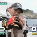 도시어부 이미지