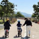 밀양아리랑 오토캠핑장 웹이코노미