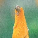 춘천서인병원 이미지