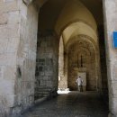 시온 ZION 이미지