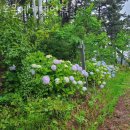 노을에 기댄 언덕 이미지