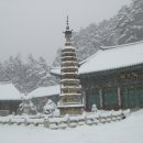 월정사 - 1011 | 월정사