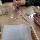 금성중학교 티스토리