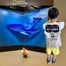 하나아트기획 | 내셔널지오그래픽 특별기획 / OCEAN 가장 거대한 기록...5세 분리수업 전시후기 충무아트센터 주차 정보