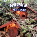 바람결 작은집 이미지