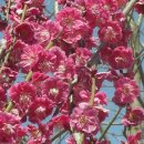 여난농장 이미지