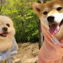 따숩개하우스 이미지