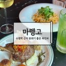 SJ산업 | 수원역 와인바 마렝고 후기 다트까지 즐기는 완벽한 데이트 코스
