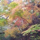 은적자연관광농원 이미지