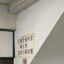 성안한의원 | 1/6 ~ 1/12 일상