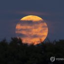 구름속 보름달 이미지
