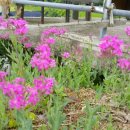 동역경로당 이미지