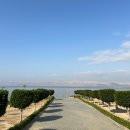 노랑고개 | 왔다가 전쟁 땜에 요르단에 갇힌 썰 -3 최종 탈출기 (노랑풍선 패키지 여행) 요르단 대사관 복받으세요