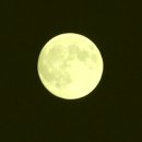 소원의원 이미지