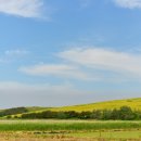 두산목장 이미지