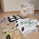 올데이올가닉 이미지