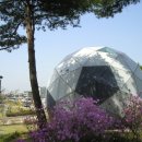 축구공(함성) 이미지