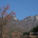 청풍호유람선 주식회사 이미지