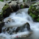호호탕탕 세계일보