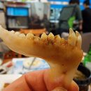 바다예찬 이미지