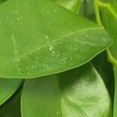 서울올바른내과의원 이미지