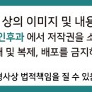 코앤365이비인후과의원 이미지