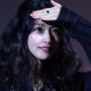 현애견미용실 네이버블로그