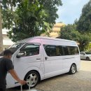 (유)새만금그린푸드 | 푸켓 시티투어 핑크듀공 후기(가격, 코스, 시간 등)