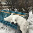 연산한의원 이미지