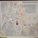 리아PC | 삼성역 코엑스 타코 맛집 더타코부스 NYC 메뉴 및 가격 엠파이어 파히타 타워 퀘사디아