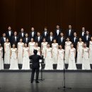 덴탈아트 이미지