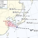 제주도 고비 이미지