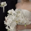 함께하는 치과기공소 이미지