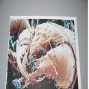 우리집 세탁 이미지