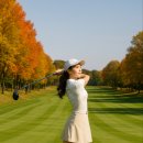 여주-0832 이미지