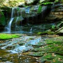 계곡풍경 이미지